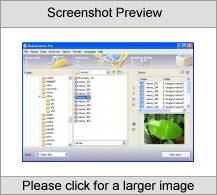 ReaConverter Pro Screenshot